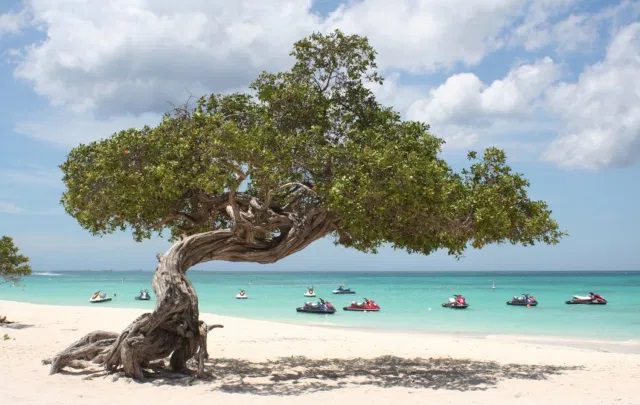 Una playa de Aruba.MARC BOETTINGER / GETTY IMAGES