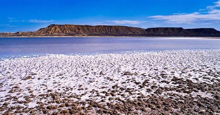 Salinas de Araya