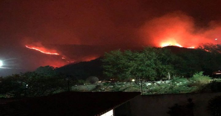 Un incendio forestal en el parque Henri Pittier 2