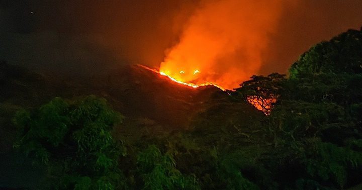 Un incendio forestal en el parque Henri Pittier