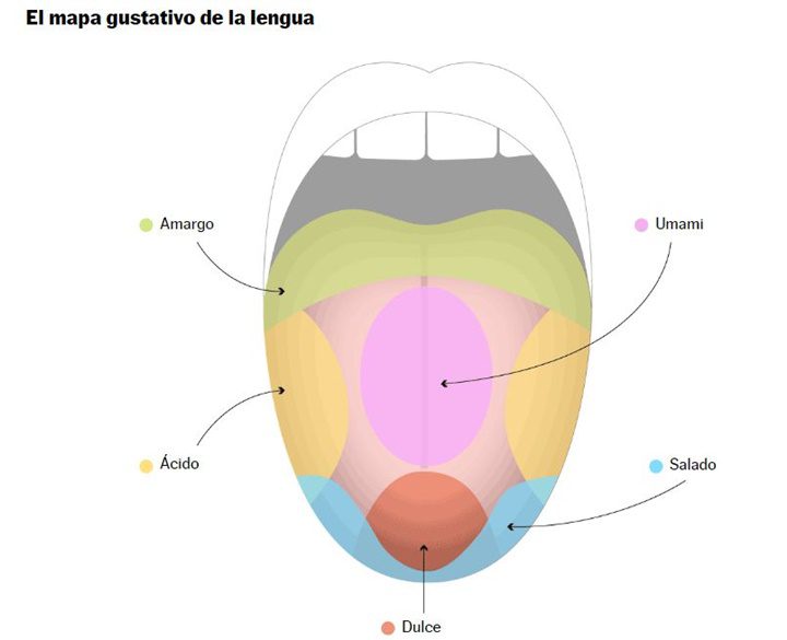 El mapa de la lengua