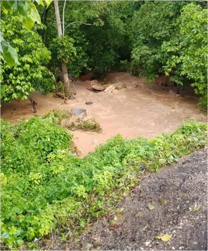 Carretera Carúpano Güiria 7 2024 2